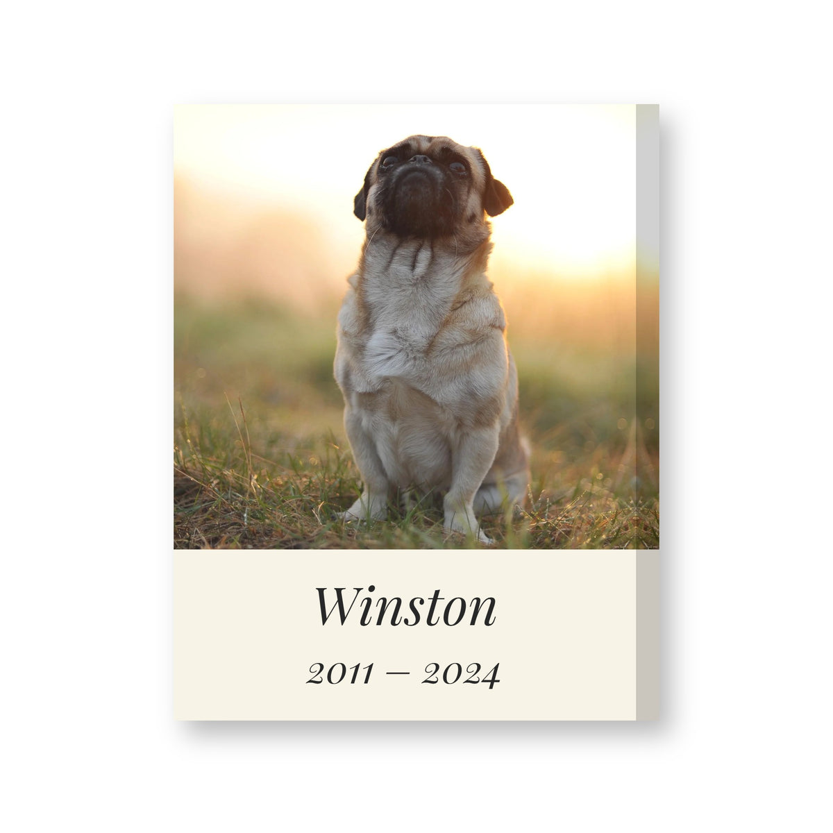 Personalised pet memorial canvas with a pug's photo, the name Winston and the years 2011 to 2024