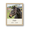 Personalised pet memorial framed canvas in a natural wood frame, with a horse's photo, the name Duke and the years 2001 to 2026