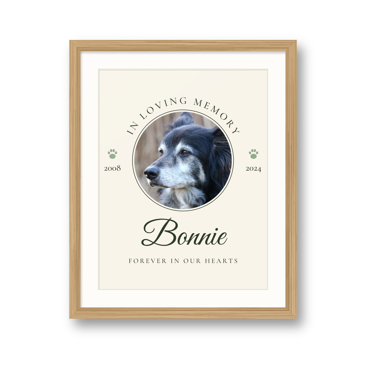 Personalised In Loving Memory pet print in a natural wood frame, with a senior border collie's photo, the name Bonnie and the years 2008 to 2024