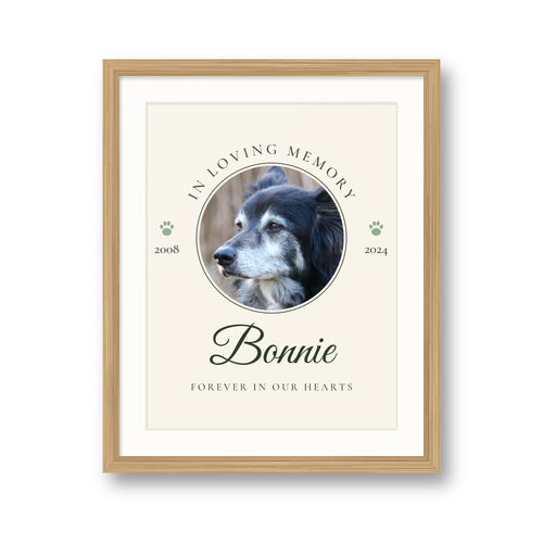 Personalised In Loving Memory pet print in a natural wood frame, with a senior border collie's photo, the name Bonnie and the years 2008 to 2024