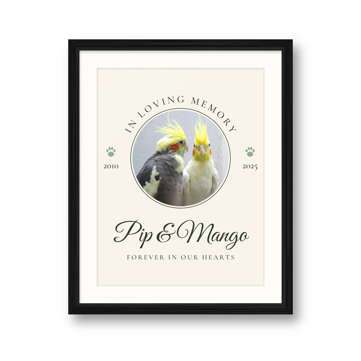 Personalised In Loving Memory pet print in a black frame, with two cockatiels, the names Pip and Mango and the years 2010 to 2025