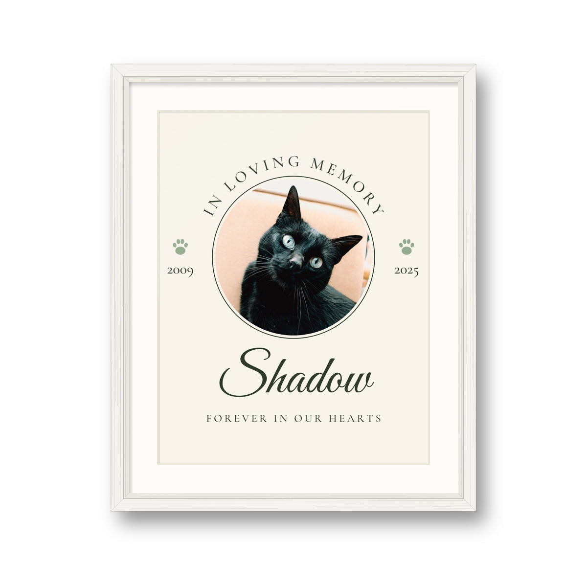 Personalised In Loving Memory pet print in a white frame, with a black cat's photo, the name Shadow and the years 2009 to 2025